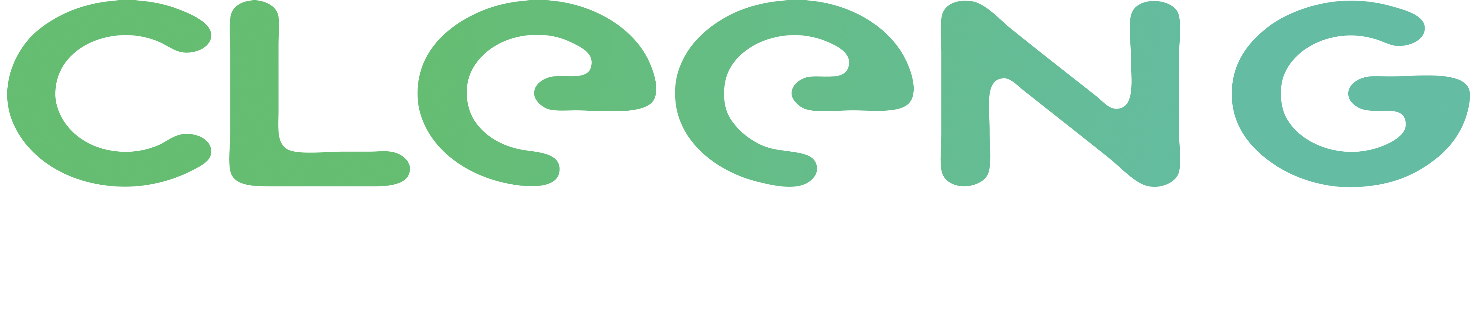 vast.png